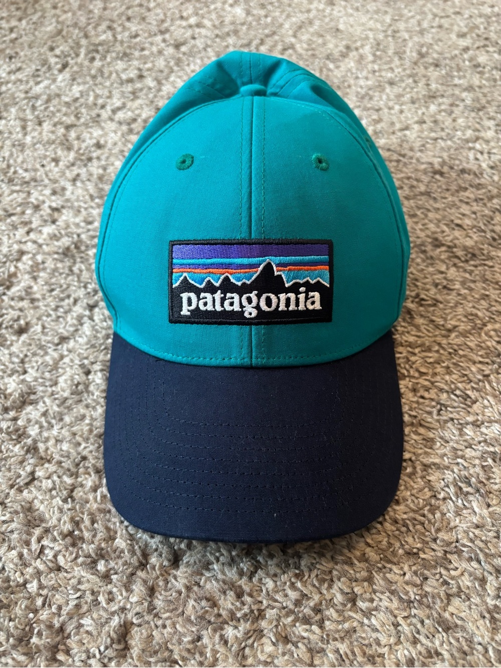 Patagonia logo stretch fit hat